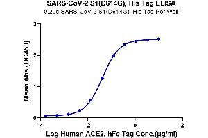 Immobilized SARS-CoV-2 S1 (D614G), His Tag at 2 μg/mL (100 μL/Well) on plate.