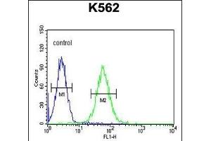 MIN Antibody (N-term) (ABIN654085 and ABIN2843973) flow cytometric analysis of K562 cells (right histogram) compared to a negative control cell (left histogram).