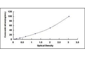 Typical standard curve (D Amino Acid Oxidase Kit ELISA)