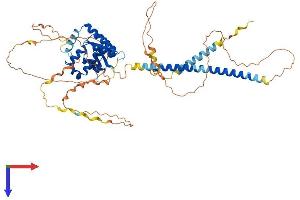 AlphaFold protein structure predicition of Mouse Recombinant Otud5 Protein, UniprotID Q3U2S4