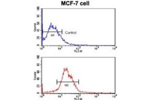 Flow Cytometry (FACS) image for anti-Kruppel-Like Factor 4 (Gut) (KLF4) antibody (ABIN2936746) (KLF4 anticorps)