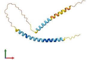 AlphaFold protein structure predicition of Mouse Recombinant Smim23 Protein, UniprotID Q9DAL0 (SMIM23 (AA 1-136) protein (His tag))