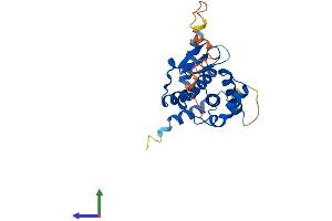 AlphaFold protein structure predicition of Human Recombinant ATP23 Protein, UniprotID Q9Y6H3