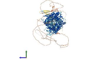 AlphaFold protein structure predicition of Human Recombinant PTCH1 Protein, UniprotID Q13635