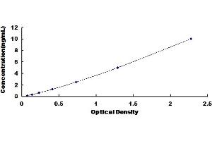 Typical Standard Curve for Mouse CCT2 ELISA. (CCT2 Kit ELISA)