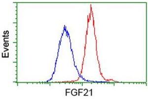 Flow cytometric Analysis of Hela cells, using anti-FGF21 antibody (ABIN2454474), (Red), compared to a nonspecific negative control antibody, (Blue). (FGF21 anticorps  (AA 29-209))