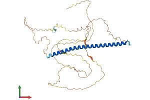 AlphaFold protein structure predicition of Mouse Recombinant Fos Protein, UniprotID P01101