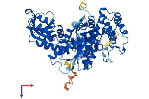 AlphaFold protein structure predicition of Mouse Recombinant Stxbp1 Protein, UniprotID O08599