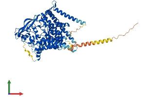 AlphaFold protein structure predicition of Mouse Recombinant Lmf2 Protein, UniprotID Q8C3X8
