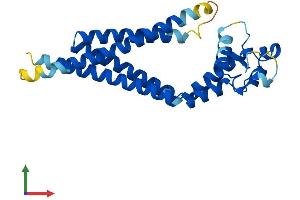 AlphaFold protein structure predicition of Human Recombinant TSPAN6 Protein, UniprotID O43657