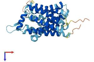 AlphaFold protein structure predicition of Mouse Recombinant Slc35b1 Protein, UniprotID P97858