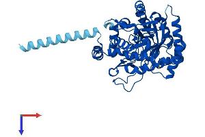 AlphaFold protein structure predicition of Mouse Recombinant Dhodh Protein, UniprotID O35435
