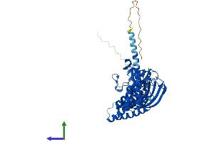 AlphaFold protein structure predicition of Human Recombinant FKBP4 Protein, UniprotID Q02790