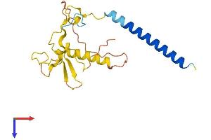 AlphaFold protein structure predicition of Human Recombinant FANCD2OS Protein, UniprotID Q96PS1