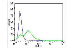 Overlay histogram showing U-87 MG cells stained with (ABIN6242283 and ABIN6578055) (green line).