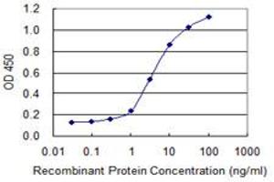 Detection limit for recombinant GST tagged DMC1 is 0.