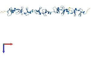 AlphaFold protein structure predicition of Human Recombinant FHL5 Protein, UniprotID Q5TD97