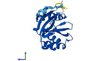 AlphaFold protein structure predicition of Mouse Recombinant Nudt16 Protein, UniprotID Q6P3D0
