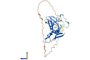 AlphaFold protein structure predicition of Mouse Recombinant Prkab2 Protein, UniprotID Q6PAM0