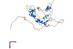 AlphaFold protein structure predicition of Mouse Recombinant Snai2 Protein, UniprotID P97469