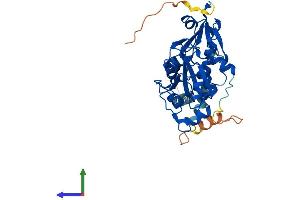 AlphaFold protein structure predicition of Human Recombinant PCYT2 Protein, UniprotID Q99447