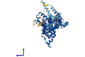 AlphaFold protein structure predicition of Human Recombinant SLC26A11 Protein, UniprotID Q86WA9