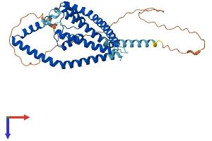 AlphaFold protein structure predicition of Human Recombinant KCNK9 Protein, UniprotID Q9NPC2