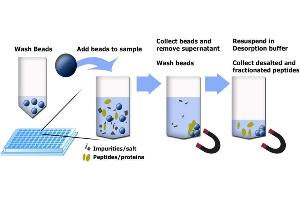Principle using MagSi-WAX beads. (MagSi-WAX beads)