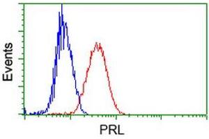 Image no. 6 for anti-Prolactin (PRL) antibody (ABIN1500429) (Prolactin anticorps)
