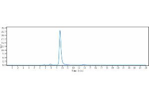 anti-Hepcidin Antimicrobial Peptide (HAMP) antibody