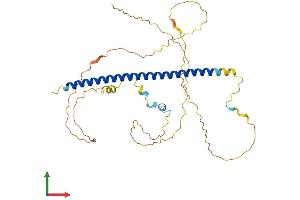 AlphaFold protein structure predicition of Mouse Recombinant Atf4 Protein, UniprotID Q06507