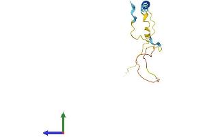 AlphaFold protein structure predicition of Human Recombinant MLANA Protein, UniprotID Q16655