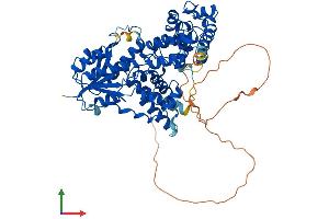 AlphaFold protein structure predicition of Human Recombinant CRY1 Protein, UniprotID Q16526