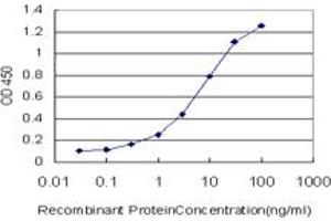 Detection limit for recombinant GST tagged ERMAP is approximately 0. (ERMAP anticorps  (AA 376-475))