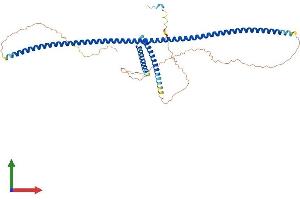 AlphaFold protein structure predicition of Human Recombinant CEP57L1 Protein, UniprotID Q8IYX8