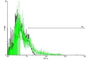 FACS analysis of negative control 293 cells (Black) and ADRB2 expressing 293 cells (Green) using ADRB2 purified MaxPab mouse polyclonal antibody.