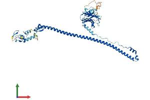 AlphaFold protein structure predicition of Human Recombinant TRIM6 Protein, UniprotID Q9C030