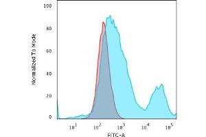 Flow Cytometric Analysis of PFA-fixed HeLa cells using Cytokeratin 18 Mouse Monoclonal Antibody (C-04) followed by Goat anti-Mouse IgG-CF488 (Blue); Isotype Control (Red)