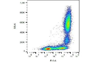 Surface staining of human peripheral blood with anti-human CD11b (MEM-174) APC.