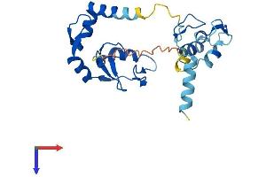 AlphaFold protein structure predicition of Human Recombinant RNF114 Protein, UniprotID Q9Y508