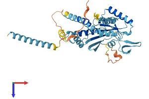 AlphaFold protein structure predicition of Mouse Recombinant Septin5 Protein, UniprotID Q9Z2Q6