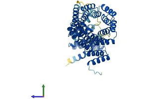 AlphaFold protein structure predicition of Mouse Recombinant Ifit1 Protein, UniprotID Q64282