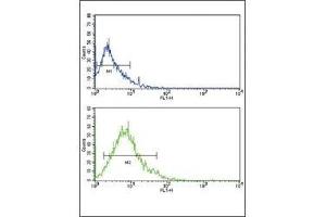Flow cytometric analysis of HL-60 cells using GLUT2 antibody (bottom histogram) compared to a negative control (top histogram).
