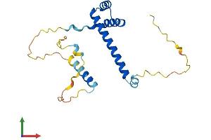 AlphaFold protein structure predicition of Human Recombinant LBX2 Protein, UniprotID Q6XYB7