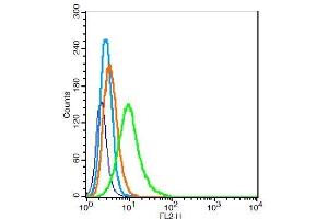 RSC96 cells probed with GABRA2/GABA A Receptor alpha 2 Antibody, Unconjugated  at 1:100 for 30 minutes followed by incubation with a conjugated secondary (PE Conjugated) (green) for 30 minutes compared to control cells (blue), secondary only (light blue) and isotype control (orange).