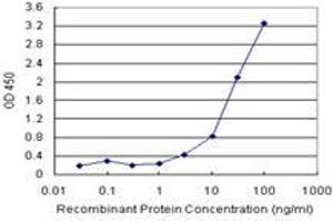 Sandwich ELISA detection sensitivity ranging from 1 ng/mL to 100 ng/mL. (HDAC7 (Humain) Matched Antibody Pair)
