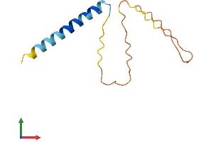 AlphaFold protein structure predicition of Human Recombinant SFTA3 Protein, UniprotID P0C7M3