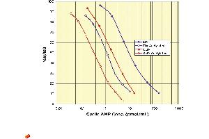 Image no. 3 for Cyclic Adenosine Monophosphate (cAMP) ELISA Kit (ABIN577670)