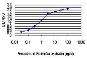 Detection limit for recombinant GST tagged IRX5 is approximately 0. (IRX5 anticorps  (AA 204-264))