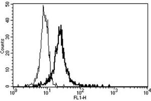 Flow Cytometry (FACS) image for anti-Thrombomodulin (THBD) antibody (FITC) (ABIN1105880) (Thrombomodulin anticorps  (FITC))
